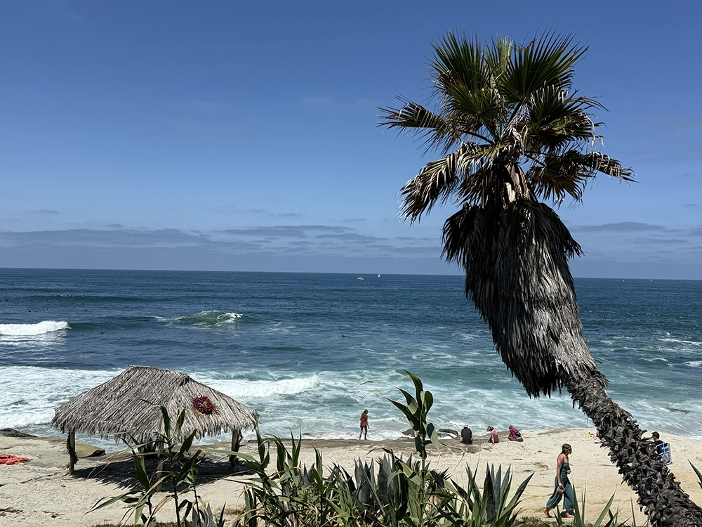 Windansea Beach rocky coastline in La Jolla, San Diego