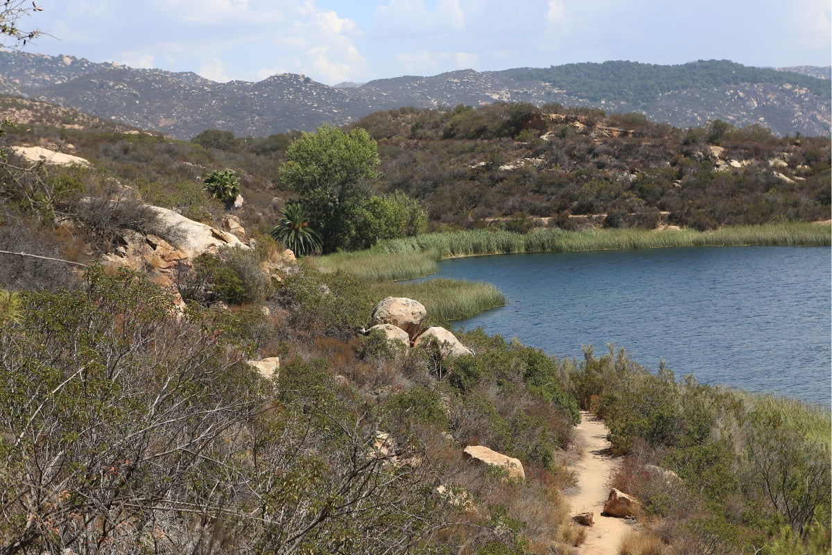 Downtown San Diego skyline and Gaslamp Quarter attractions