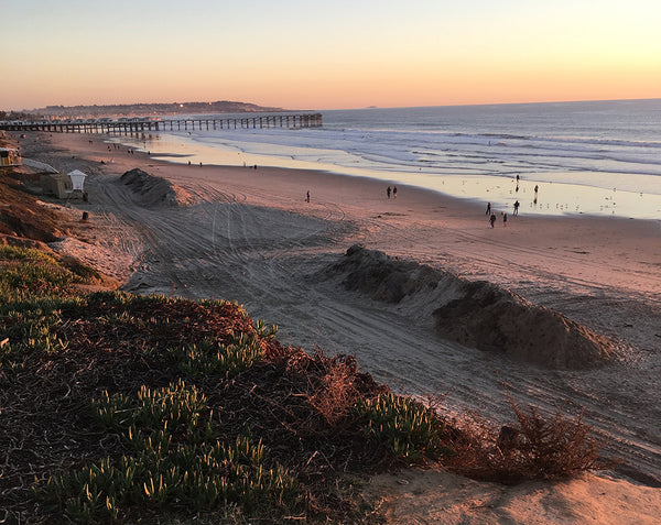 View of Pacific Beach Pier from Law St Park