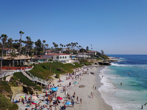 Windansea Beach in La Jolla